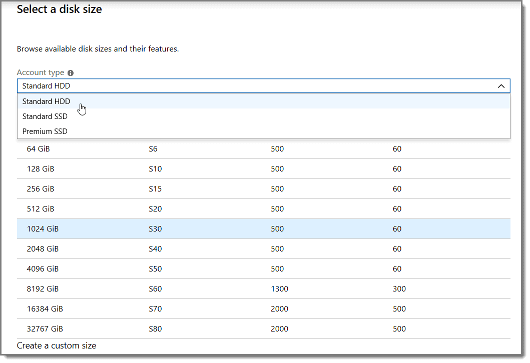 Select a disk size