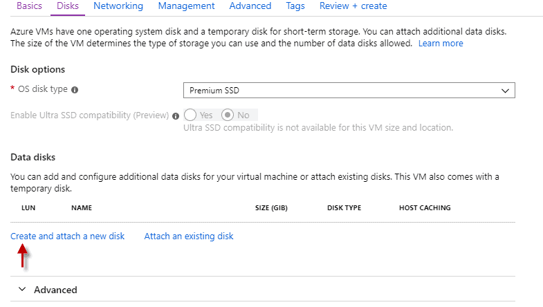 Choose Disk Options